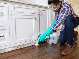 Real Estate Pest Inspections in Temple, PA